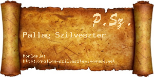 Pallag Szilveszter névjegykártya